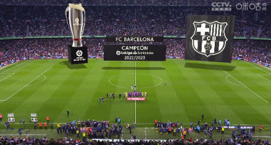 海纳：没注意到针对赫内斯的横幅；拜仁的章程比50+1严格（海纳称未注意反赫内斯横幅：拜仁章程严于50+1）